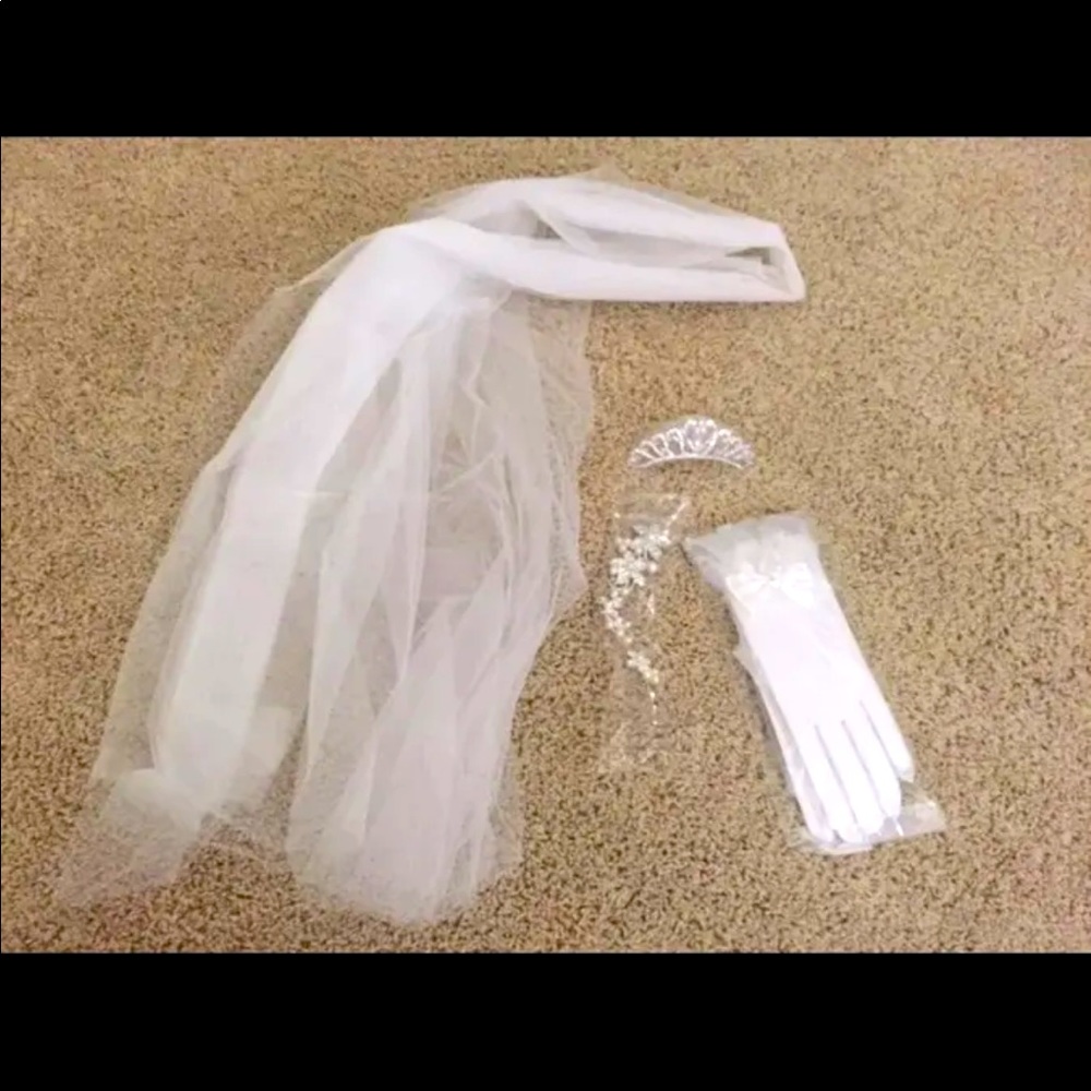 Brand new set- white veil, hair accessories 2, gloves